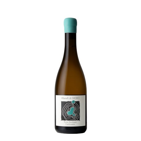 Alberelli di Giodo bianco - Sicilia DOC 2023