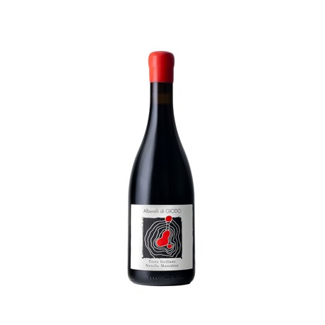 Alberelli di Giodo rosso - Sicilia DOC 2022