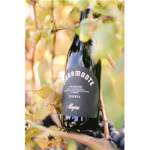 Allegrini, Fieramonte - Amarone Valpolicella Riserva Docg 2016