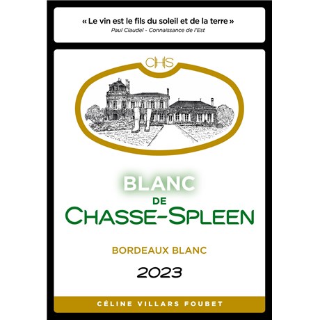 Blanc de Chasse Spleen - Bordeaux 2023