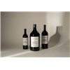 Carmes Haut Brion - Pessac-Léognan 2021
