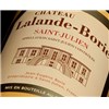 Castle Lalande Borie - Saint-Julien 2010 