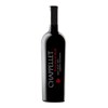 Chappellet, Pritchard Hill - Napa Valley 2021