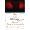 Château Mouton Rothschild - Pauillac 2009