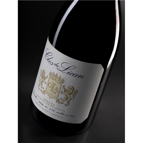 Clos du Lican - Apalta 2021