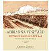 Double Magnum Mundus Bacillus Terrae - Adrianna Vineyard - Mendoza 2016