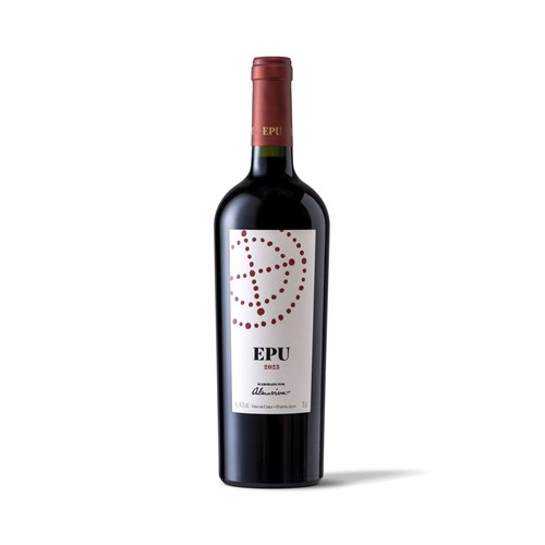 Epu - Puento Alto 2023