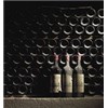 Grand Corbin Despagne (BIO-ORGANIC) - Saint-Emilion Grand Cru 2019