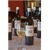 Grand vin blanc sec Rayne Vigneau - Bordeaux 2022