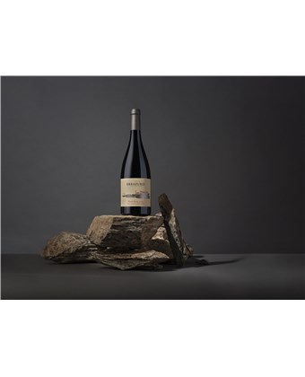 Las Pizarras – Pinot Noir  - Aconcagua costa 2023