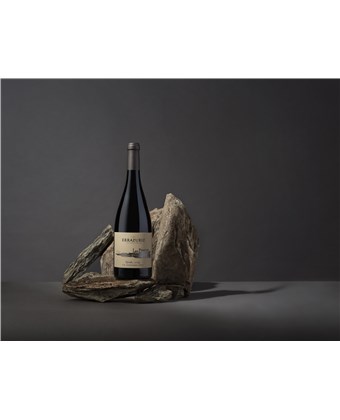 Las Pizarras – Syrah  - Aconcagua costa 2023