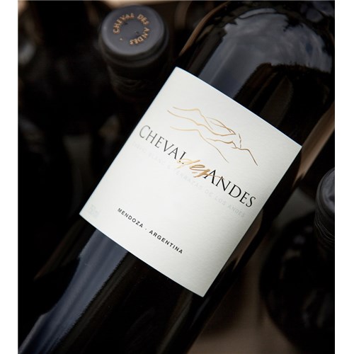 Magnum Cheval des Andes 2012 - Argentina 4df5d4d9d819b397555d03cedf085f48 