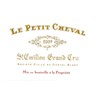 Magnum Petit Cheval - Château Cheval Blanc - Saint-Emilion Grand Cru 2009