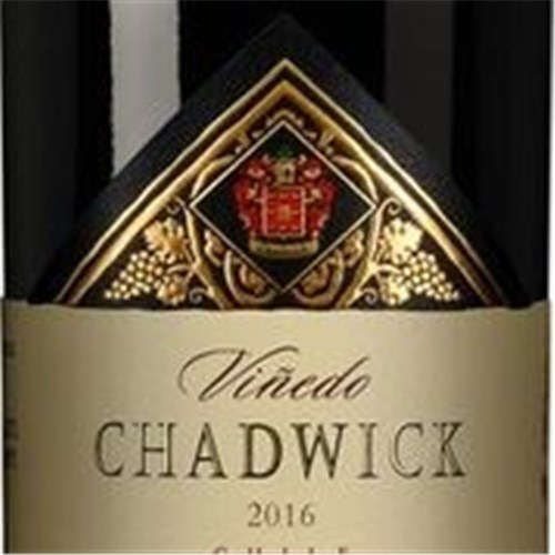 Magnum Vinedo Chadwick - Chile 2016 