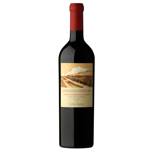 Mundus Bacillus Terrae - Mendoza 2016