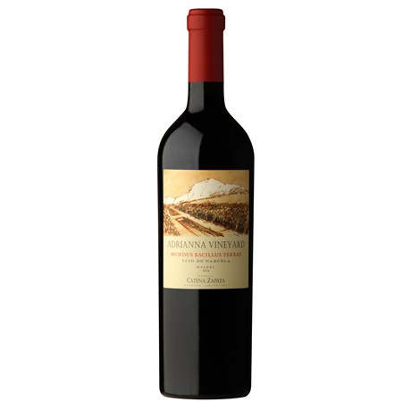 Mundus Bacillus Terrae - Mendoza 2016