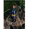 Palmer - Historical XIXth Century Wine - Vin de table 2021