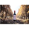 Vik - Valle de Cachapoal 2019