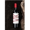 Vik - Valle de Cachapoal 2019