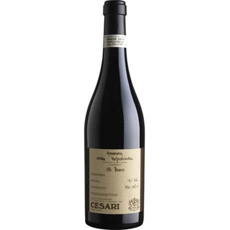 Il Bosco 2011 - Amarone della Valpolicella Classico - Cesari