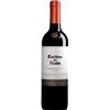 Casillero del Diablo Carmenere 2019 75 cl 4df5d4d9d819b397555d03cedf085f48 