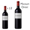 Dourthe N°1 Rouge Bordeaux - Pack bouteilles et magnum