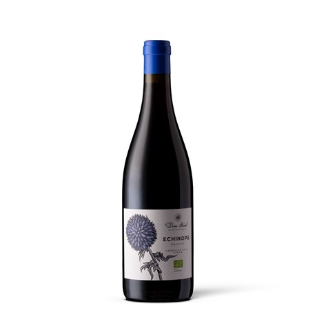 Echinops 2022 - Côtes Catalanes - Dom Brial