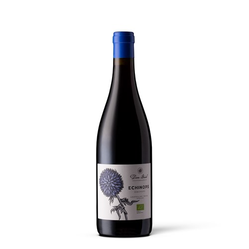 Echinops 2022 - Côtes Catalanes - Dom Brial
