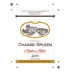 Magnum Château Chasse Spleen - Moulis 2015