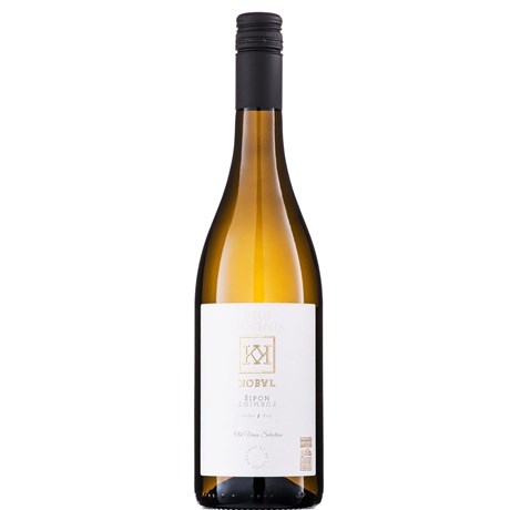 Sipon 2024 - Domaine Kobal - Slovénie