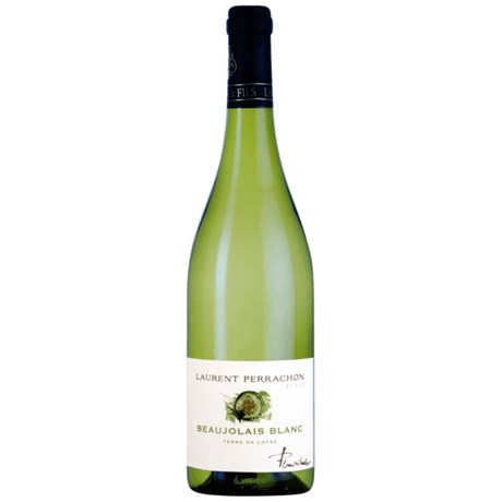 Terre de Loyse 2025 - Domaine Perrachon - Beaujolais Blanc