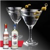 Cocktail pack 007 - Vodka Martini 4df5d4d9d819b397555d03cedf085f48 