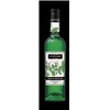 Liqueur de Menthe Verte 18° 70 CL Vedrenne