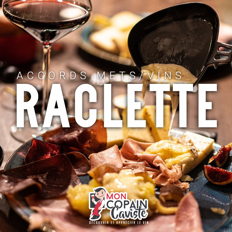 Choisir son appareil à raclette pour des soirées réussies ! - Blog BUT