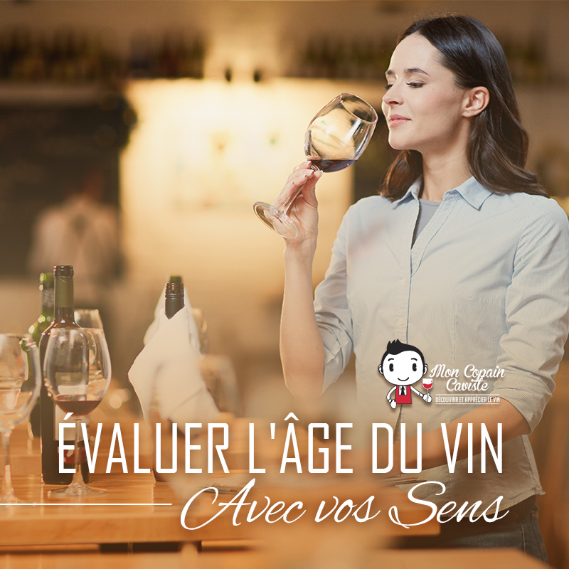 Dégustation de vin : nos conseils pour analyser un vin